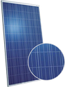 Standard Poly Series CSUN290-72P Solar Panel